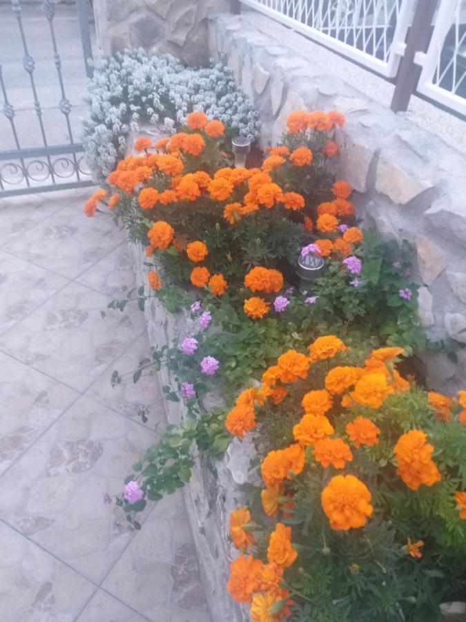 Ferienwohnung La Vita Šibenik Exterior foto